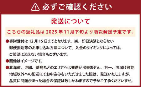 熊本県産 持丸ミカン 約3キロ 【2026年11月下旬発送開始】 蜜柑 みかん ミカン 柑橘 フルーツ くだもの 果物 国産