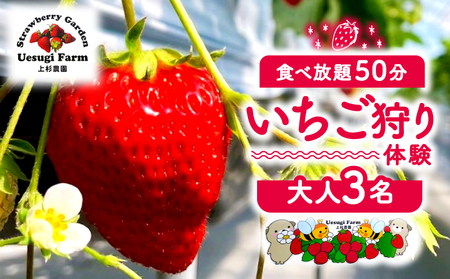 上杉農園のいちご狩り 2026年1月から発送 大人3人利用券 京都府八幡市