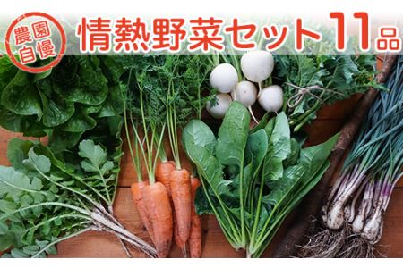 農園自慢の情熱野菜セット（11品）【野菜 野菜セット おすすめ 詰め合わせ 野菜詰め合わせ】