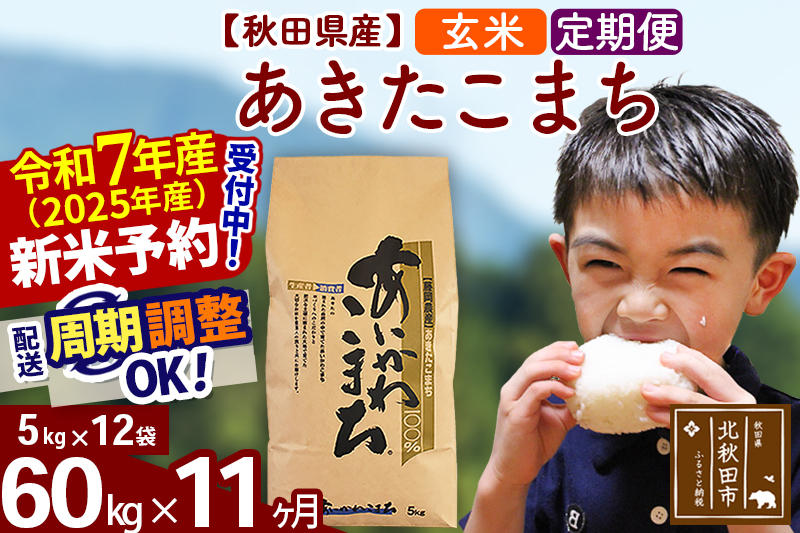 ※令和7年産 新米予約※《定期便11ヶ月》秋田県産 あきたこまち 60kg【玄米】(5kg小分け袋) 2025年産 お届け周期調整可能 隔月に調整OK お米 藤岡農産