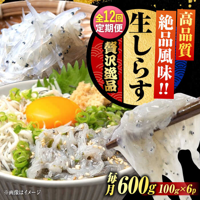 【ふるさと納税】【全12回定期便】鮮度抜群 生しらす 100g×6個 しらす 釜揚げ 冷凍 シラス 小分け パック 干し 魚介類 鮮魚 海鮮 海産物 セット 詰め合わせ ギフト 広島県産 人気 送料無料 江田島市/三島水産株式会社[XCN022]