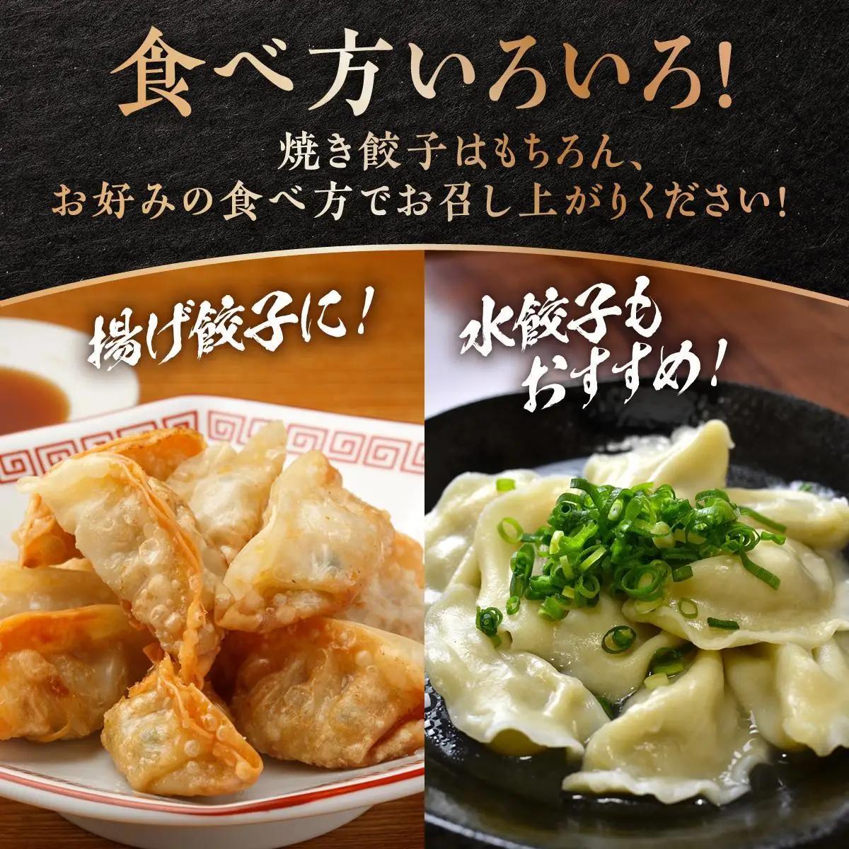 【美ら島あぐ～】餃子（20個入り／1パック×20個入り）   