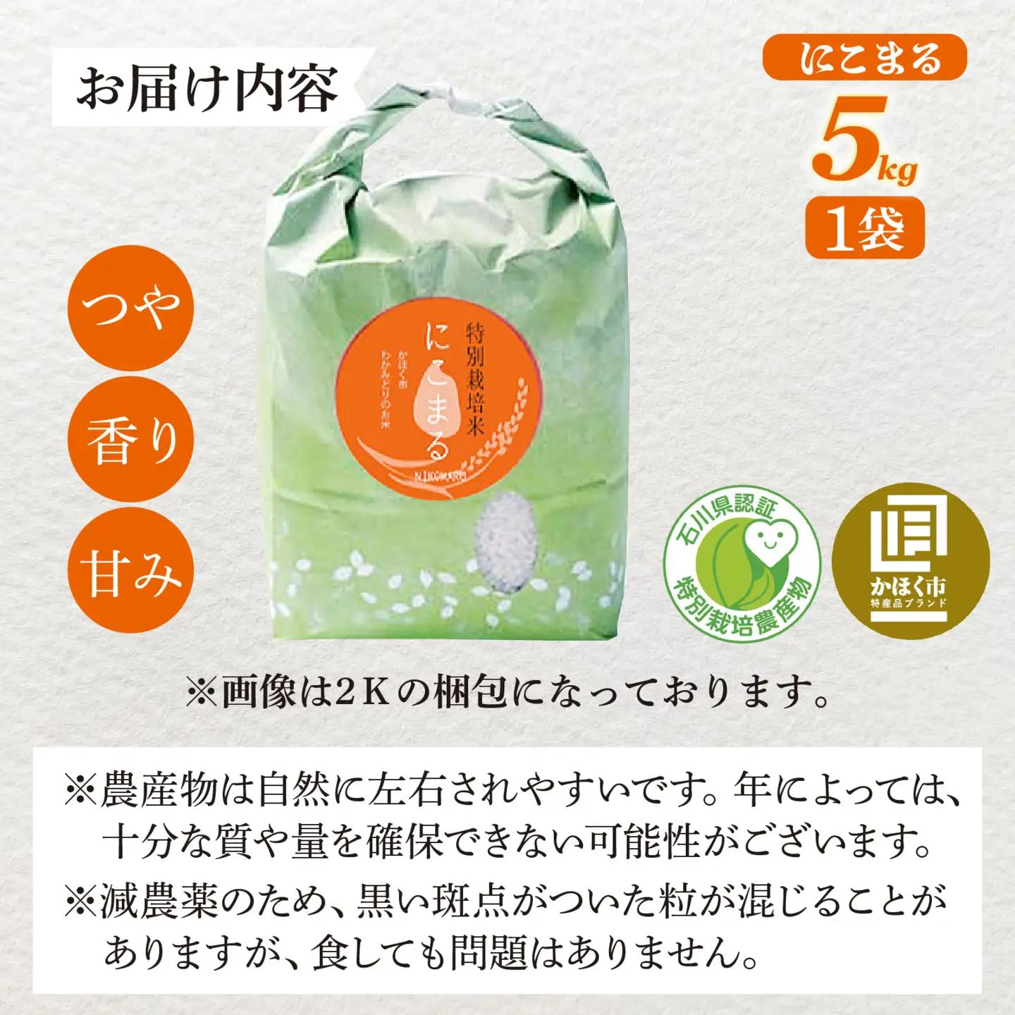【令和7年産】 にこまる 5kg 【5月配送】 |  にこまる 白米