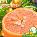 【ふるさと納税】【先行予約】厳選 カラマンダリン2kg 3kg 5kg（傷み補償分）南津海・なつみ 希少な春柑橘 池田鹿蔵農園《2025年4月上旬-6月上旬頃出荷予定》 和歌山県 日高町 みかん 柑橘 フルーツ 蜜柑 送料無料【配送不可地域あり】