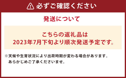 【事前受付】【2023年7月下旬発送開始】マンゴー (3個入り)  約700g