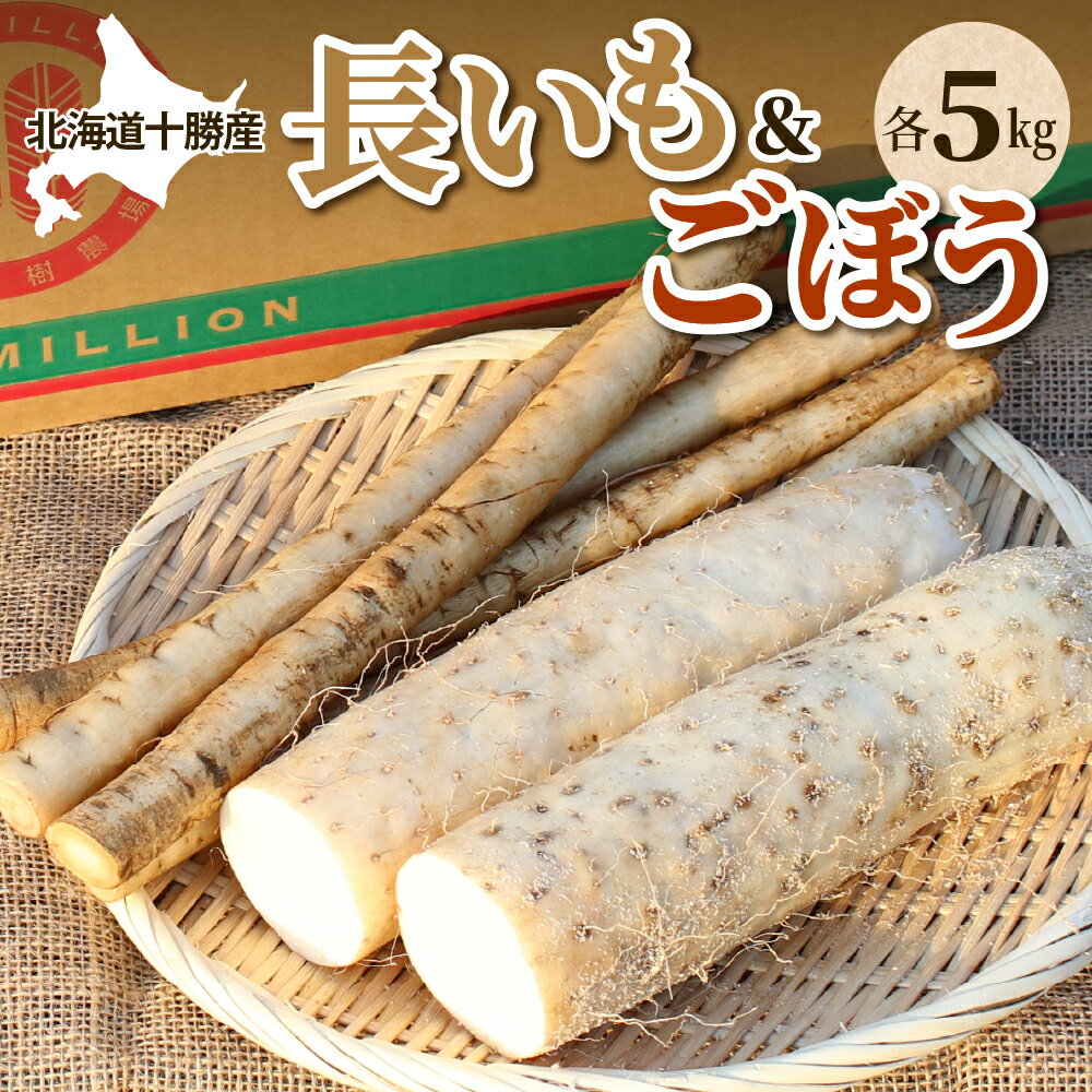 【ふるさと納税】ファーム・ミリオンの長芋ごぼうセット 10kg長芋 長いも 芋 ごぼう セット 野菜 国産 とろろ 山かけ 滋養強壮 ご飯 お供 お裾分け 有機栽培 産地直送 北海道 十勝 芽室町 送料無料