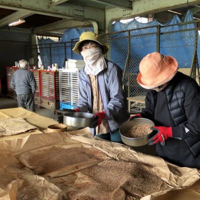 ふるさと納税 南アルプス市 すももソルダム大玉2L~4L　約1.2kg(9〜12玉) |  | 03