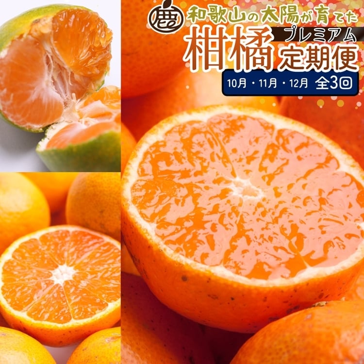 
            【定期便】厳選 柑橘定期便 M 3回（10～12月）※北海道・沖縄・離島への配送不可※10月・11月・12月に発送
          