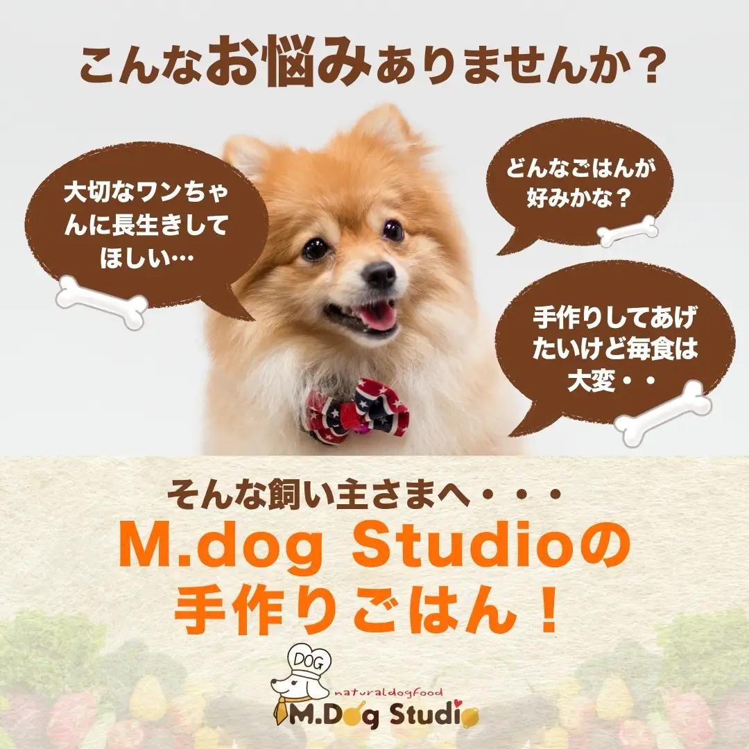 ドッグフード 手作りごはん定番人気3品セット 無添加・国産食材使用 | 新潟県 津南町 ドッグフード