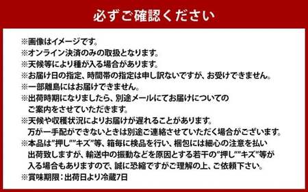 ご家庭用 旬のぶどう 2種（合計2kg以上）【2026年8月下旬～10月下旬 発送予定】【産地直送 岡山県産 国産 シャインマスカット ニューピオーネ ブドウ 葡萄 ぶどう 果物 ギフト たけまさぶど