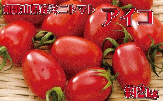 
和歌山産ミニトマト「アイコトマト」約2kg（S・Mサイズおまかせ）
