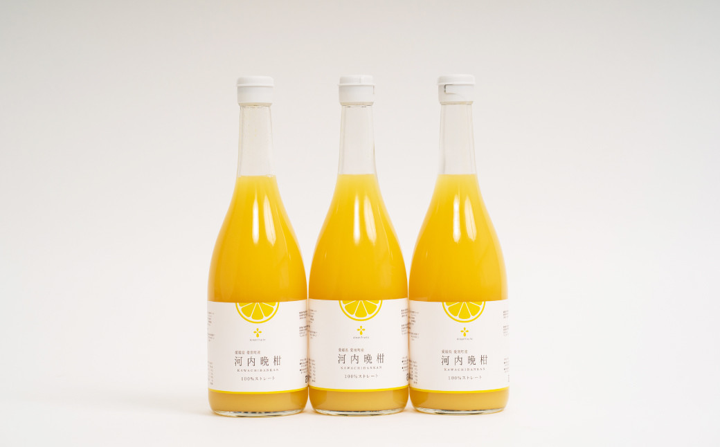 
            無添加 果汁100％ 河内晩柑ジュース 720ml×3本入 晩柑 柑橘 みかん 蜜柑 ミカン 飲料 ジュース 100％ 愛媛みかん 愛媛県産 【2026年5月上旬～12月上旬まで発送予定】【えひめの町（超）推し！（愛南町）】（576-1）
          