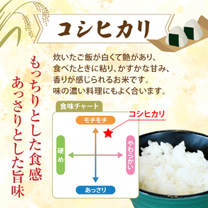 無洗米 R6年産こしひかり 150g×2袋 無洗