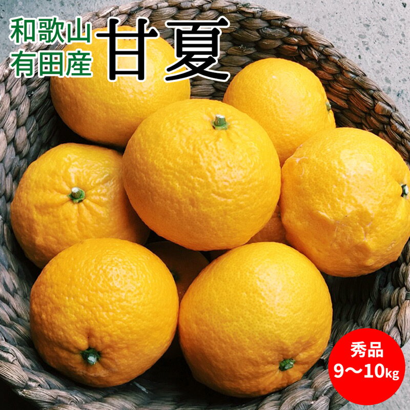 【ふるさと納税】【2026年先行予約】甘夏 秀品 約9～10kg 和歌山県有田産【あまなつ 甘夏 ミカン 夏みかん 蜜柑 柑橘 和歌山】