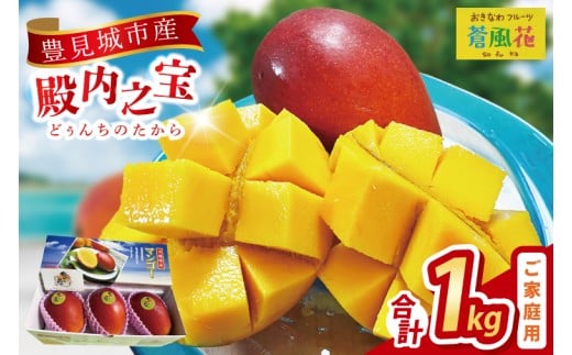 【2026年7月より順次発送】豊見城産マンゴー『殿内之宝(どぅんちのたから)』約1kg(ご家庭用)｜マンゴー フルーツ 果物 くだもの 先行予約 完熟マンゴー 沖縄フルーツ 家庭用 おきなわ 沖縄 沖縄県 豊見城市(DR004)