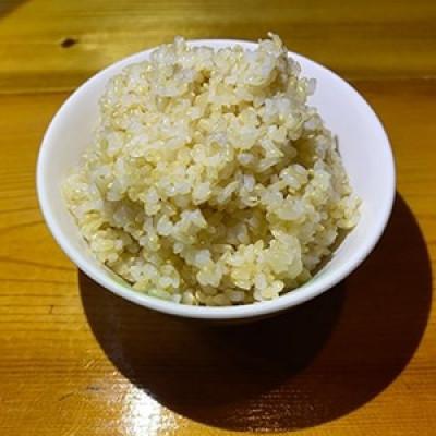 ふるさと納税 潮来市 【毎月定期便】栽培期間出来るだけ農薬を減らして作る「かすみ米」玄米10kg全12回 |  | 03