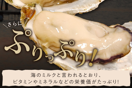 京都・京丹後産牡蠣　カンカン焼き　約25個【軍手・ナイフ付き】