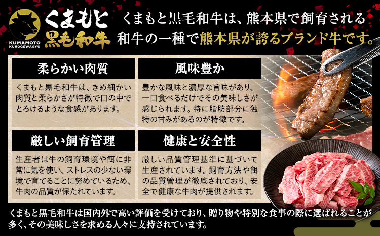 牛肉 A4～A5等級 黒毛和牛 切り落とし くまもと黒毛和牛 上 カルビ 焼肉切り落とし 600g 《60日以内に出荷予定(土日祝除く)》熊本県 長洲町 上カルビ 焼肉用 焼肉 肉 お肉 和牛 A5 