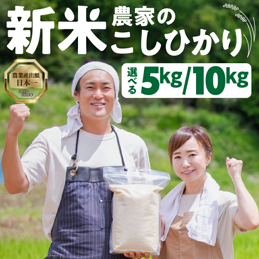 【ふるさと納税】数量限定 13000円 新米農家のこしひかり 5kg 10kg 選べる お米 おこめ 米 コメ ごはん コシヒカリ ご飯 ブランド米 精米 令和7年 定期 6か月 令和6年産 売り切れ 備蓄米 よりおいしい 愛知県 田原市 渥美半島 人気 先行予約 令和7年産 13000円 KASUKEN