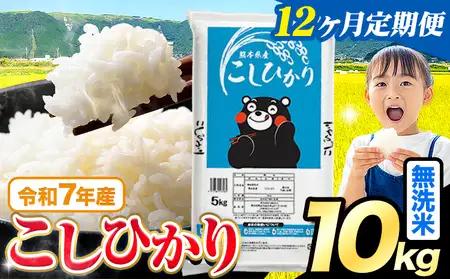 【12ヶ月定期便】無洗米 こしひかり 10kg 
