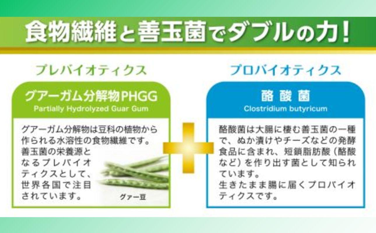 ＜定期便＞サンファイバープラス【スティック】6ｇ×30包 【2箱セット定期便12ヶ月】【発酵性食物繊維 食物繊維 シンバイオティクス 医療 介護 安心 無味無臭 グアーガム分解 四日市市】