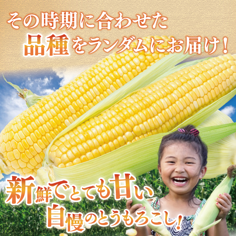 【先行予約 6月中旬から順次配送】とうもろこし　9本～13本入り（約5kg）【野菜 甘い トウモロコシ 玉蜀黍 茨城県 阿見町産】(76-06)