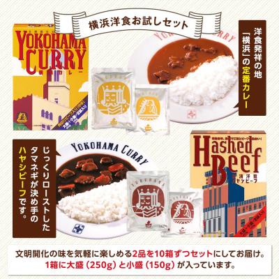 ふるさと納税 横浜市 洋食発祥の地　横濱カレー&ハヤシビーフセット各10箱(1箱に大盛250g・小盛150g) |  | 01