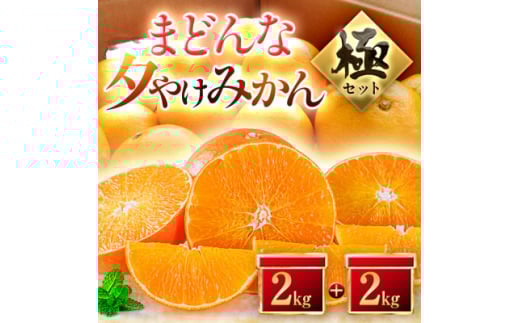 ＜夕やけブランド＞ぷるぷる食感＜まどんな＞+＜夕やけみかん＞各2kgセット＜E49-23＞【1416636】