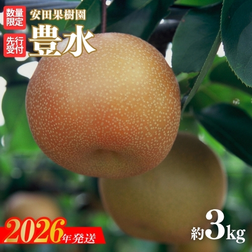 No.2608梨　豊水　約3kg【2026年発送 先行予約】