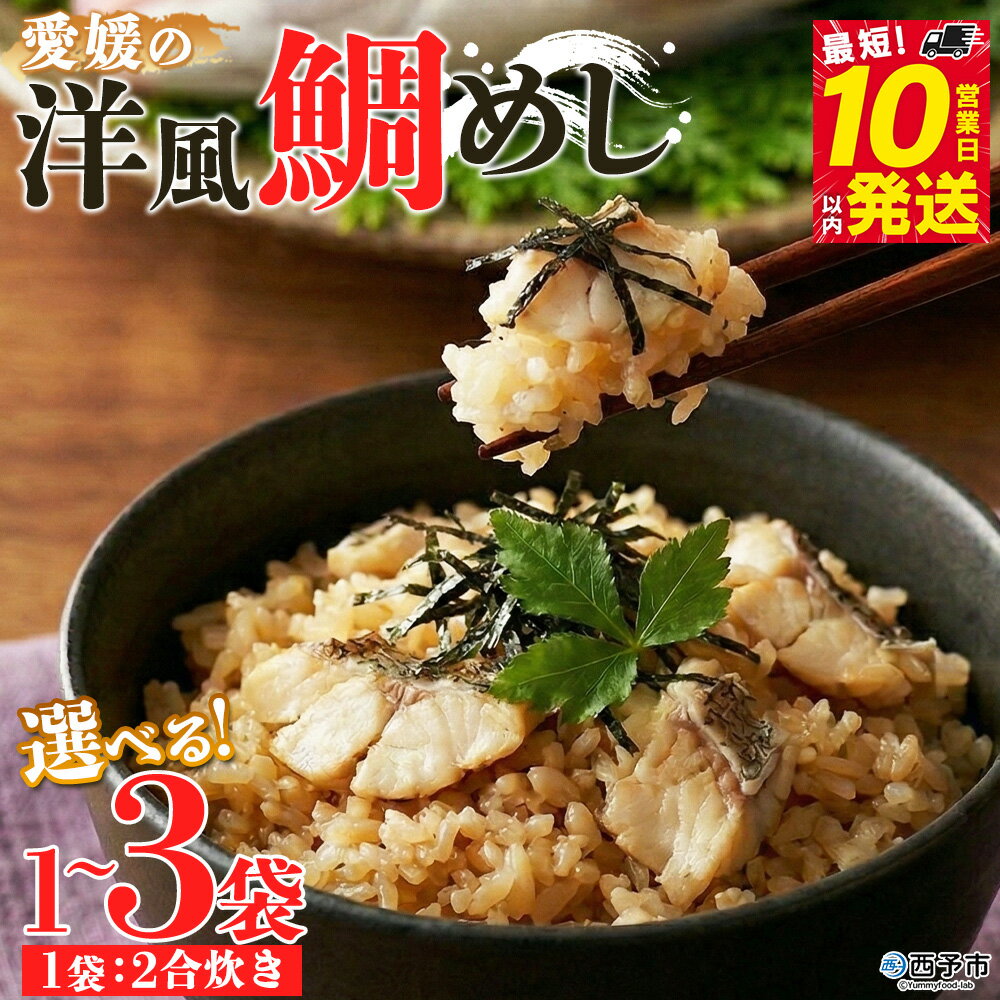 【ふるさと納税】＜愛媛の洋風鯛めしセット＞『最短10営業日以内に順次発送予定』選べる 内容 お届け 内容 鯛 真鯛 まだい マダイ 天然真鯛 郷土料理 丼 魚介 海の幸 海鮮 炊き込みご飯 洋風 切身 国産 2合炊き お取り寄せ グルメ YNコーポレーション 愛媛県 西予市【冷凍】