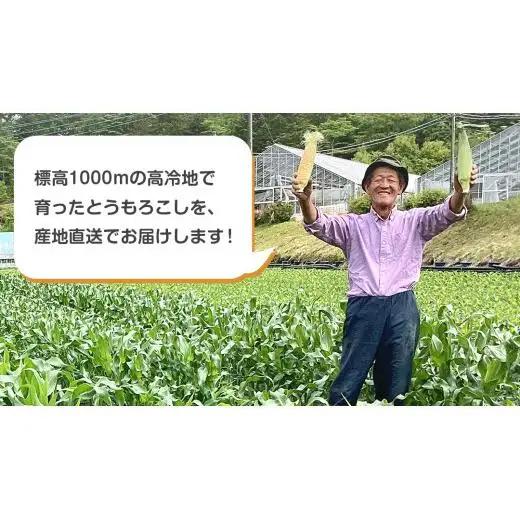 【 7月中旬発送開始 】 嬬恋産 とうもろこし ドルチェドリーム 約2kg（4本） [AT001tu]