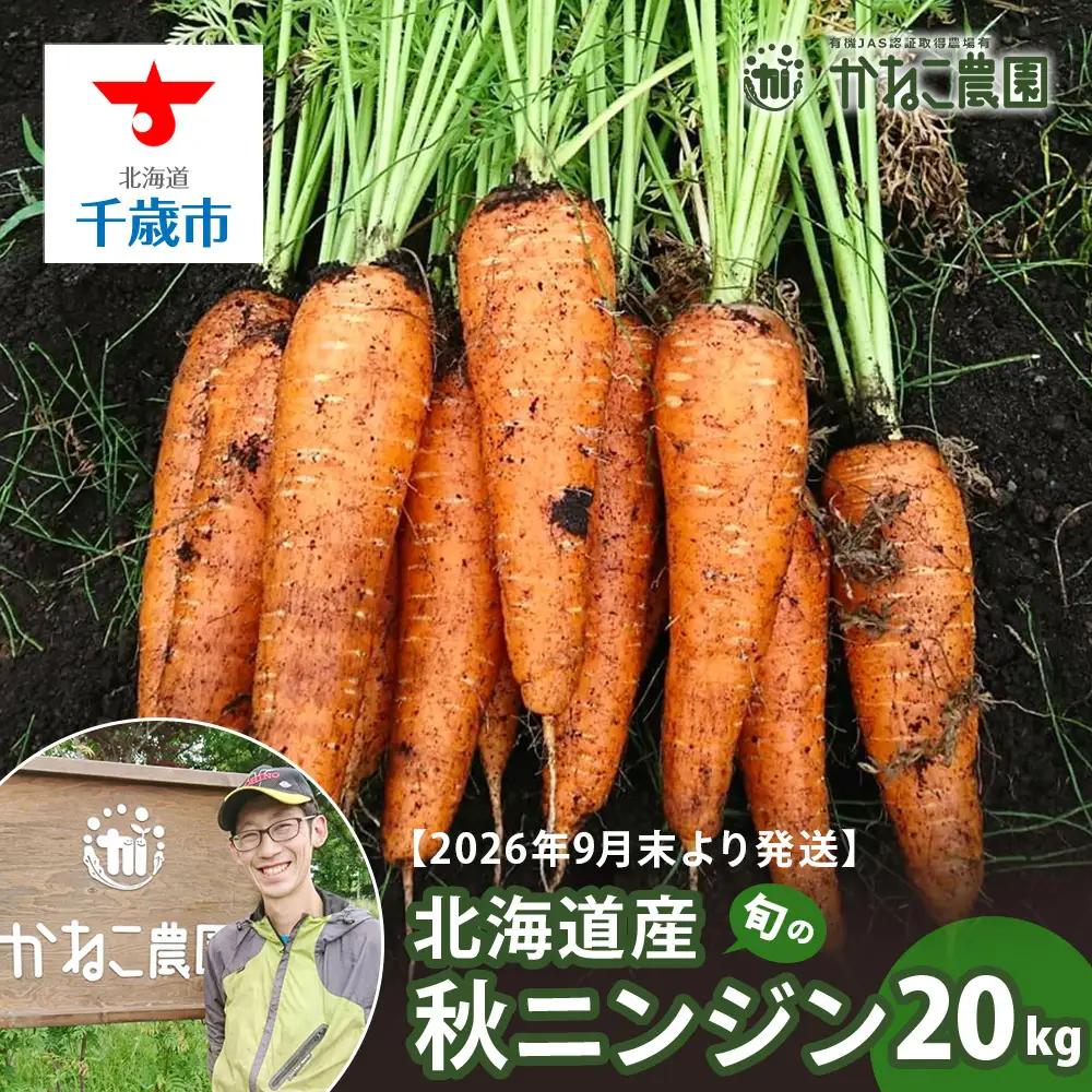【2026年9月末より発送】北海道産 旬の秋ニンジン 20㎏ 【かねこ農園】