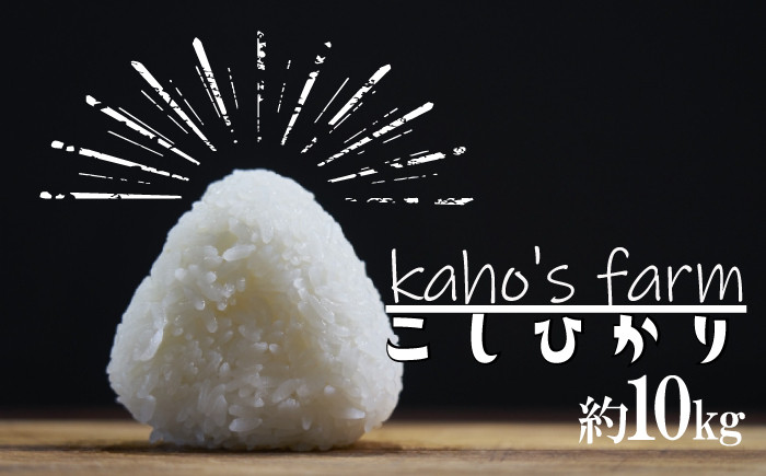 
                  【令和7年度産】コシヒカリ 10kg
                