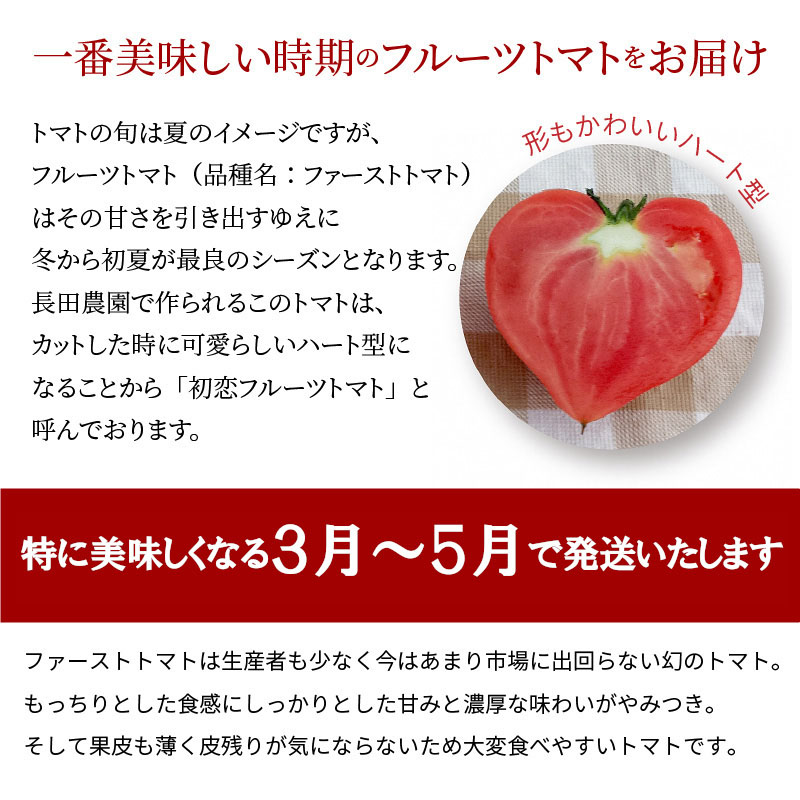 【お試し】たった3ヶ月しか食べられない　幻のファーストトマト 約700g　長田農園 産地直送 トマト とまと 野菜 やさい フルーツ サラダ 濃厚 甘い ご褒美 プレゼント 美容 健康 リピート多数 