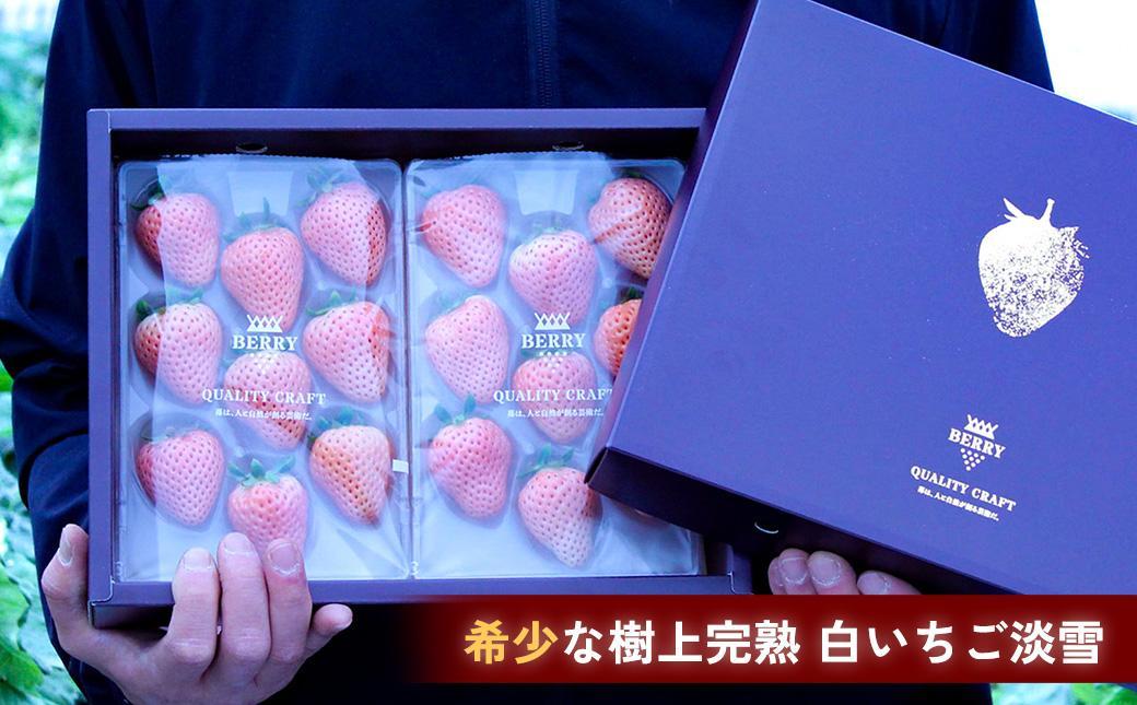 【完熟クラフト苺BERRY】濃厚な樹上完熟イチゴ 1品種ずつ3回届くセット(白いちご+赤いちご2品種)各約500g【出荷2023年12月上旬~2024年5月下旬】化粧箱入り