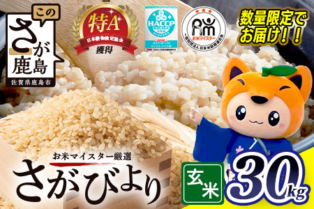 【令和7年産 さがびより】 玄米 30kg ×1袋  | ふるさと納税 米 お米 新米 精米 国産 佐賀県 鹿島市 ふるさと 人気 送料無料 F-10 