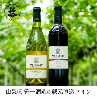2001-076 【蔵元直送】笹一酒造のOLIFANT(オリファン)ワイン＜シャルドネ ・シラー＞セット