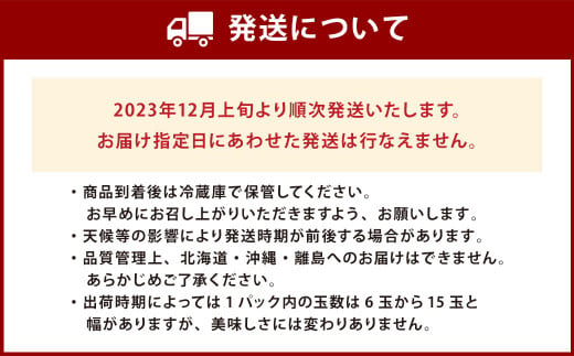 【2023年12月上旬より順次発送】福岡県産 博多あまおう DX 上級品 約560g (約280g×2パック入り) いちご 苺