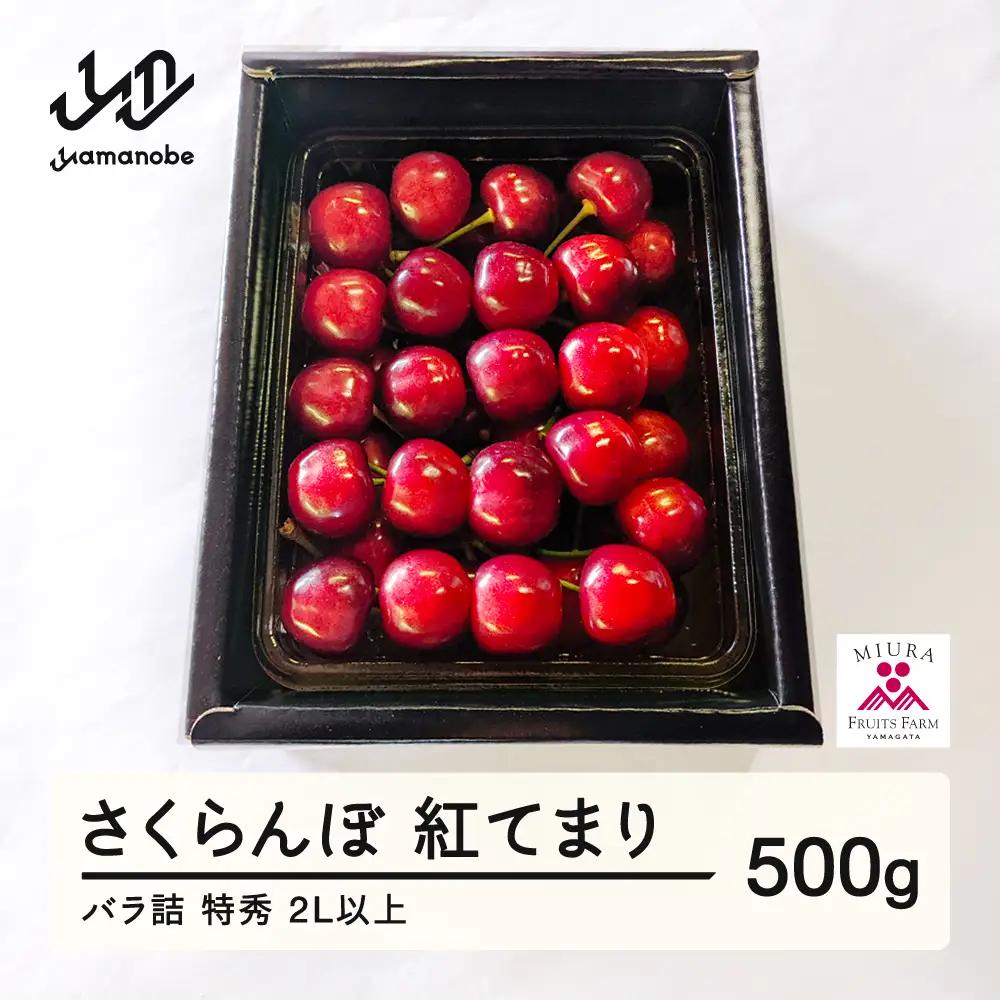 《先行予約》2027年 山形県産 さくらんぼ 紅てまり バラ詰500g 特秀 2L以上 F20A-900