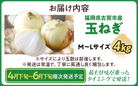  国産玉ねぎ 4kg 玉ねぎ【4月下旬～6月下旬頃に順次発送予定】