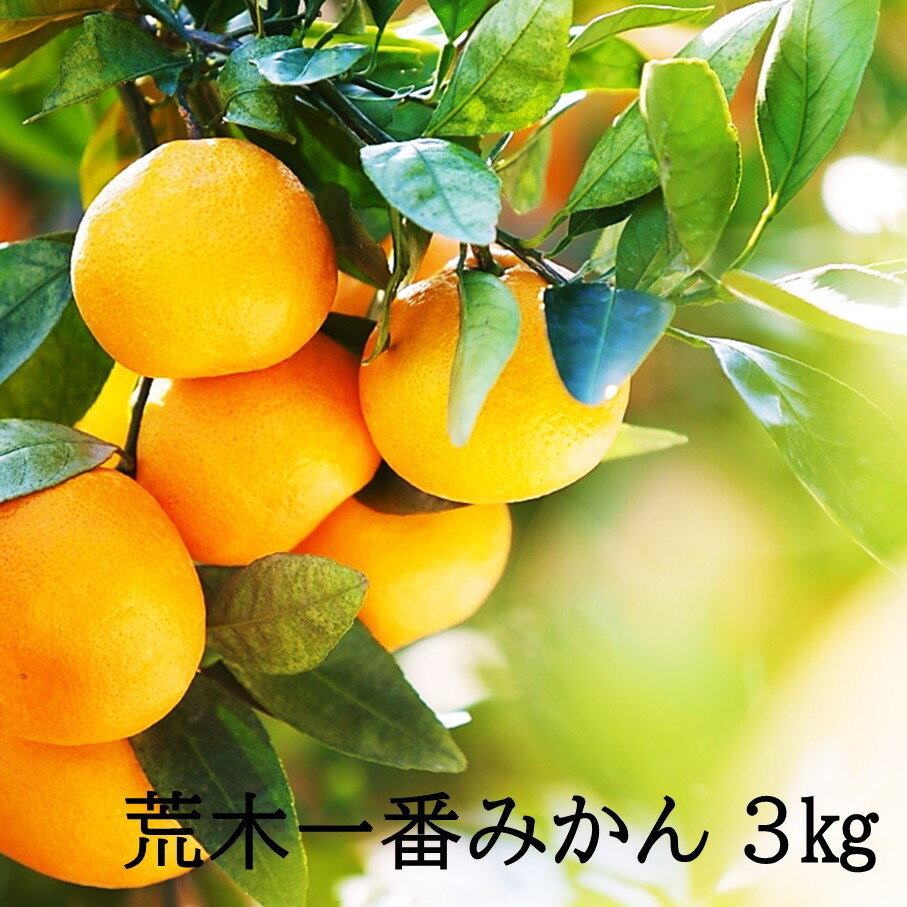 【ふるさと納税】【先行予約・年明け配送】令和8年1月から出荷開始/荒木一番みかん3kg 蜜柑 温州ミカン