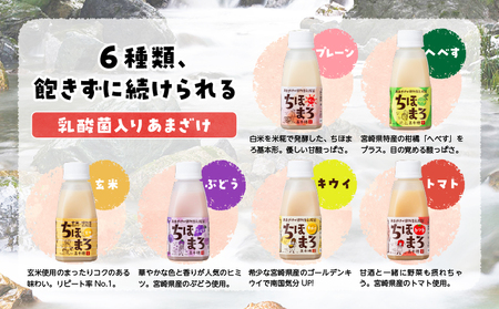 乳酸菌入りあまざけ ちほまろ 150g　30本セット【プレーン へべす 玄米 キウイ トマト ブドウ】 セット 飲み比べ 味比べ 詰め合わせ 無添加 砂糖不使用 日課 ノンアルコール 飲み物 ドリンク