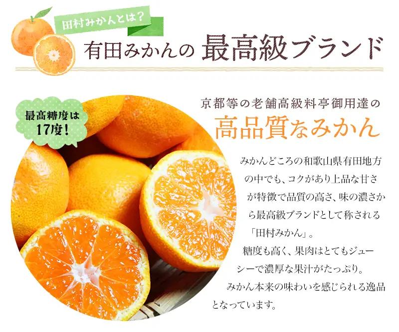 みかん 高級ブランド 田村みかん 5kg【uot504A】