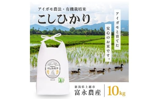 新米予約 令和7年 新潟県産コシヒカリ アイガモ農法 10kg 10キロ（5kg×2） JAS有機栽培米 上越市 三和区神田 富永農産 送料無料 安全・安心こしひかり