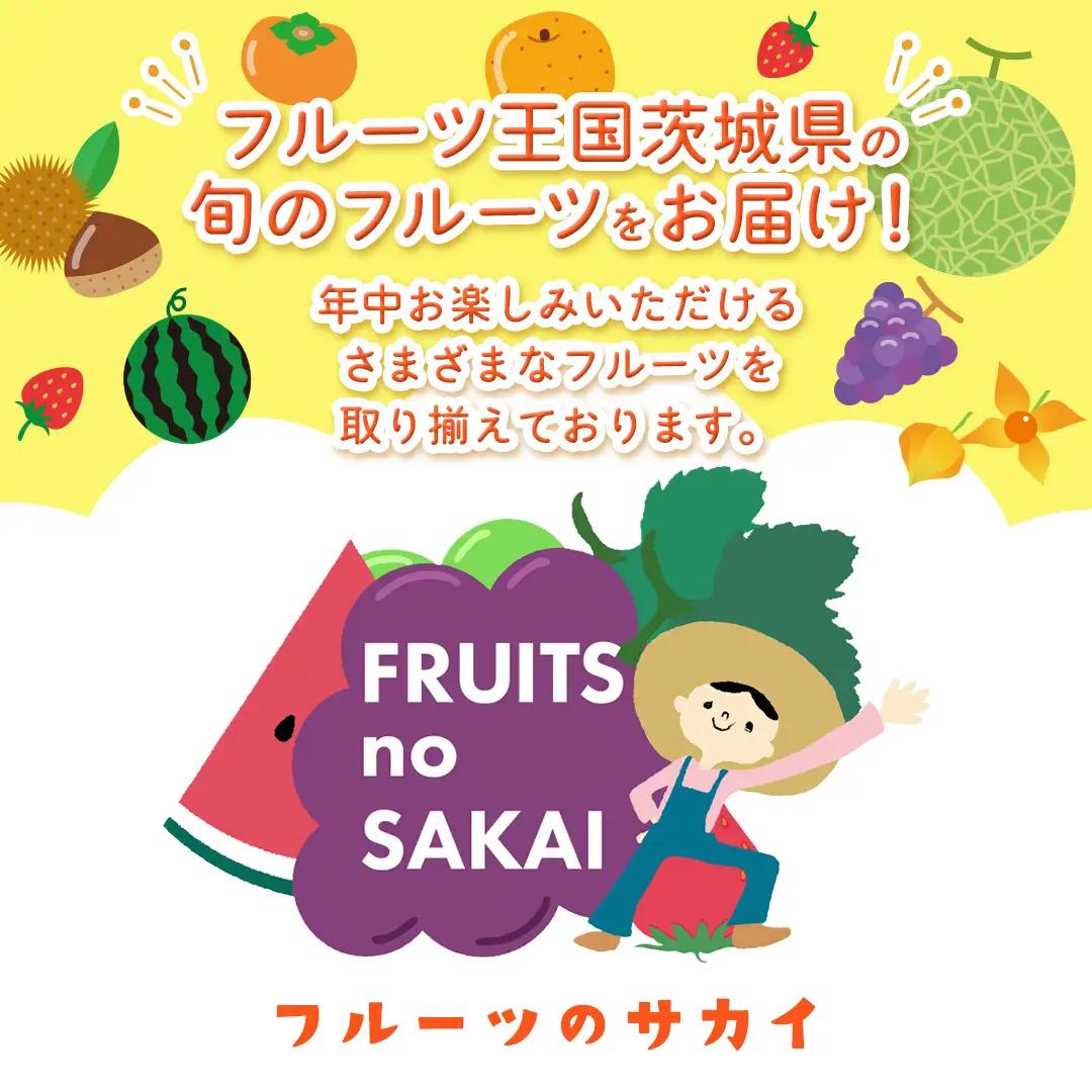 ナガノパープル 約5kg （約8～12房）【2026年9月より発送開始】（茨城県共通返礼品 [ぶどう]：結城市産）