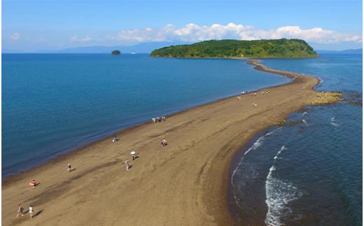 ≪返礼品なし≫鹿児島県指宿市への応援寄附金(1口：3,000円)003-154