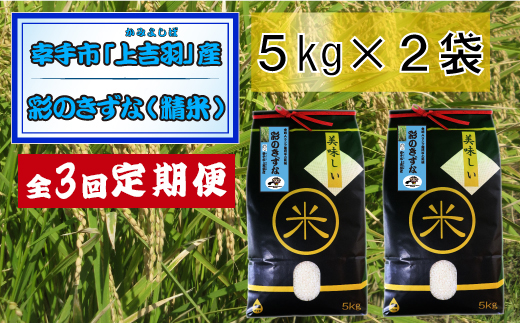 【令和6年産米】食味Aランク継続中の銘柄 彩のきずな 精米10kg【定期便3ヶ月】全3回お届け