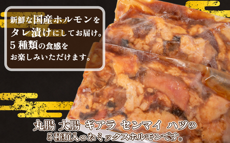 国産 ホルモン ミックス タレ 漬け 1kg 冷凍 牛肉 牛ホルモン 小分け 500g × 2パック センマイ 丸腸 大腸 ギアラ せんまい ハツ 下関  山口 FI006 ( 焼肉 肉 老舗 伊藤精