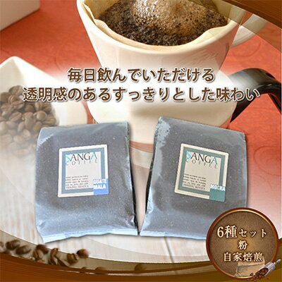 【ふるさと納税】サンガコーヒー〈粉〉100g×6種【1070090】