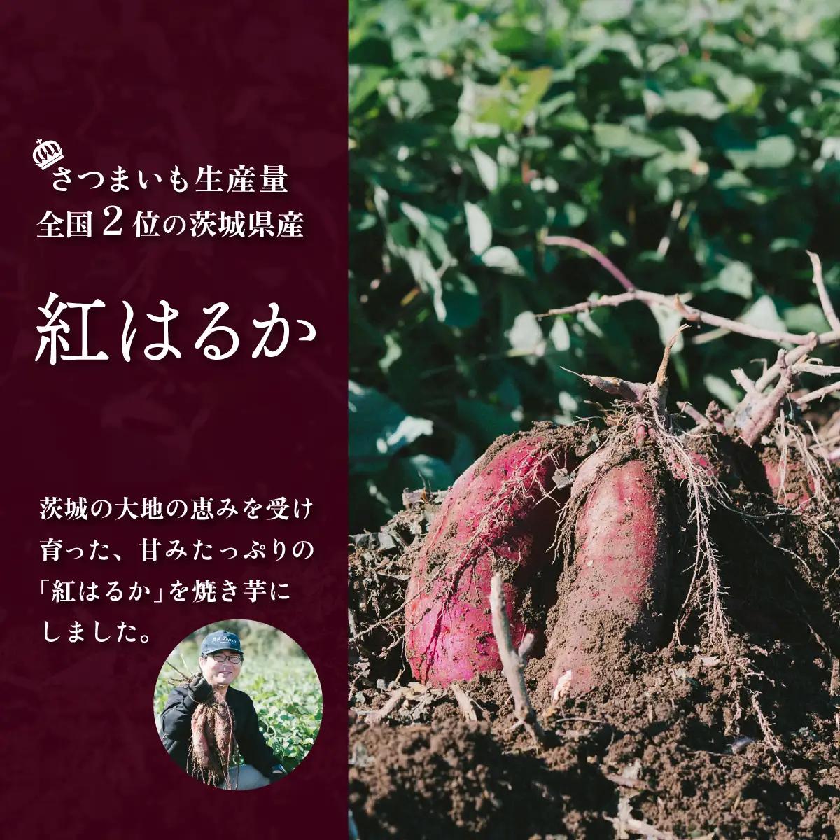 焼き芋 訳あり 冷凍 焼き芋 紅はるか 3kg